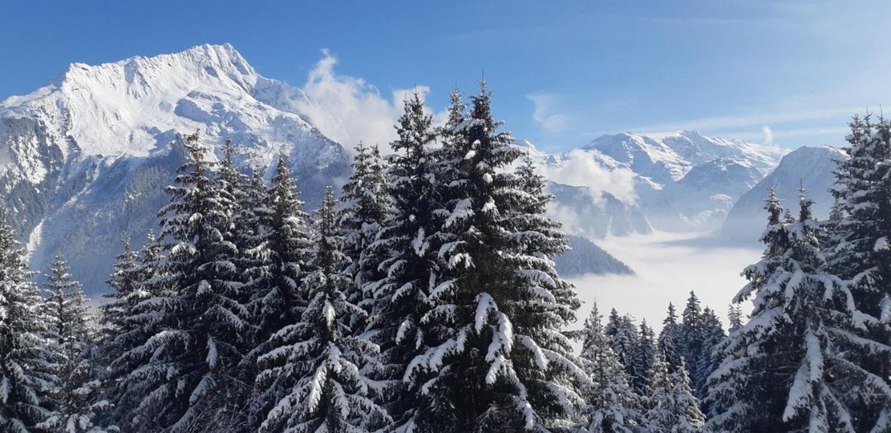 Les Glieres - Champagny-En-Vanoise La Plagne Exterior photo